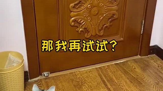 成精了？真学会开门了