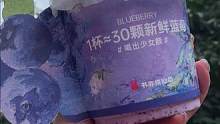 9.9的纯蓝莓奶昔还有谁没冲？#仙女都在喝什么 #全国门店通用 #是时候安排一下了 #超便宜超划算 