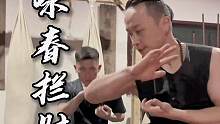 拦肘也许是咏春最难练好 且容易混淆的肘法 #日常训练 #咏春拳教学 #强身健体 #咏春拳涂藤耀