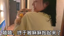 妈宝喵只想和麻麻贴贴_3