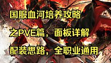 国服血河培养攻略之PVE篇，面板属性详解，配装思路，全职业通用！