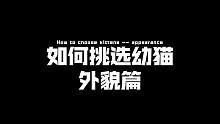 #记录猫咪日常 新手该如何根据外貌挑选小猫呢？@DOU+小助手 @抖音小助手   