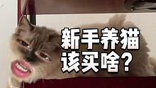 接猫流程#养宠进阶指南 #宠物知识 #养猫新手