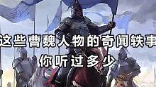 这些曹魏人物的奇闻轶事 你听过多少 #三国 #三国杀移动版 #曹魏 #历史