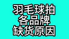 各品牌羽毛球拍缺货原因#羽毛球 #如有雷同纯属巧合