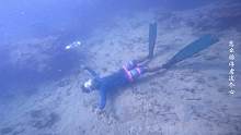 约小伙伴去浮潜吼吼
#三亚  #自由潜  #Fundive  #水下摄影  #海底世界  #海洋生物