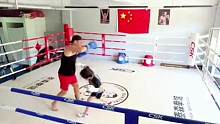以服务态度去教学，普及大众拳击运动！（陪8岁50节私教小学员实战训练）#拳击 #拳击教学 #少儿拳击