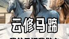 云修马蹄深得老夫之心啊，我的马场我做主#赛马也疯狂