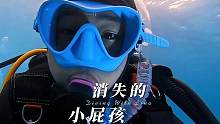 消失的小屁孩，在暑假考取了第一张潜水证书，亲子潜水旅行实录#水下摄影 #夏季玩水 #潜水 #海岛度假