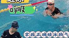 想游泳轻松又省力，必须掌握正确蛙泳呼吸技巧，这样游蛙泳才省力#游泳技巧 