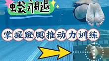 掌握蛙泳发力点要领，让你轻松掌握蛙泳蹬腿，游蛙泳不再费力#蛙泳腿 #蛙泳 