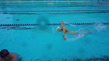说快也不快说慢也不慢的蝶#蝶泳 #游泳#猛追湾游泳池#运动