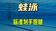 蛙泳标准划手蹬腿，这个夏天不再迷茫#游泳 #运动 #游泳技巧 #一起来玩水 #蛙泳