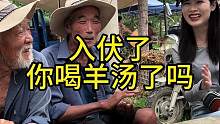 今天入伏，你喝羊汤了吗？#欧耶采访 #农村大集人间烟火气 #入伏后的第一顿羊汤