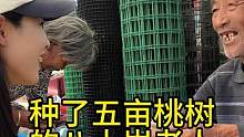 农村大集探访八十岁以上老人第五十八位种了五亩桃树的老人#欧耶采访 #老百姓的平凡生活 #农村大集人间