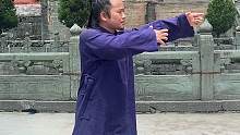 武当八极拳，同样一套拳不同的地方#八极拳 #武当八极拳 #来武当山过几天仙暇日子