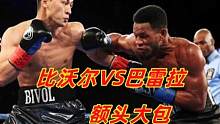 12战全胜的比沃尔额头被巴雷拉打出大包，怒砸重拳，残暴KO获胜