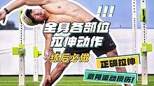 全身各部位拉伸动作！新手运动完必做，否则我怕你第二天起不来！#拉伸动作 #运动拉伸 #拉伸#全身拉伸