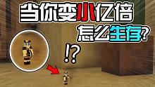 MC当你身体变小了888倍！你能活多久？我的世界Minecraft