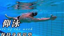 仰泳应如何保持身体姿势？#运动好青年 #游泳 #运动 #仰泳