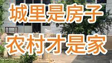 城里是房子 农村才是家  常回家看看 #旧房改造 #热点  #农村自建房