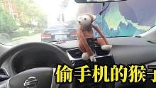 边总行车故事，路边发现一只猴，肚子里还有手 #搞笑配音 #搞笑视频 #行车故事