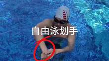 学会自由泳划手记住这四点