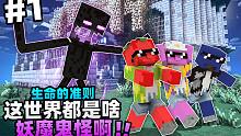 「这世界都是啥妖魔鬼怪啊！？？」我的世界生命的准则第一集