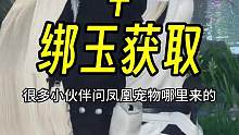 宠物凤凰获取方式，官服和渠道服都可以拿的绑玉还有人没拿吗？ #逆水寒手游   #逆水寒萌新攻略   