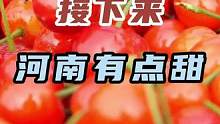 河南是农业大省也是水果大省，马上进入夏天，各种水果扎堆上市，评论区里pick你的家乡水果#五一去哪儿