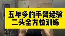 五年多的手臂训练经验之二头