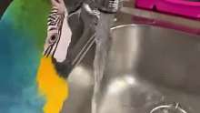 鹦鹉真聪明，喝完水还知道关水龙头呢