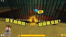 ROBLOX老鼠逃生：沉浸式体验当老鼠的一天！老鼠竟然能掰弯铁棍！