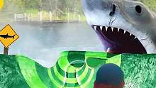 当水上滑梯遇到恐怖鲨鱼过山车，第一视角带你惊险挑战！ #水上滑梯 #水上乐园 #上热门 