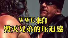 毁灭兄弟，谁给你们带来的压迫感更大呢#wwe #这谁顶得住啊 #送葬者 #凯恩 #恐怖