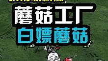 饥荒中前期回血回SAN蘑菇大法，蘑菇工厂安排上！白嫖蘑菇 #饥荒 #饥荒蘑菇 #饥荒蘑菇工厂