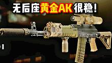 无后座黄金AK 稳的一批！ 逃离塔科夫