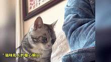 养宠物猫，不就是为了这几个暖心瞬间吗，养猫的人直呼看哭了 #暖心瞬间 #感人 #是宠物更人家人 #小