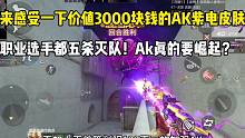 价值3000块钱AK紫电皮肤！职业选手都五杀灭队，AK要崛起？