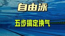 自由泳换气太难了，我们五个步骤搞定它#游泳#自由泳 #游泳培训 #运动 #一起来玩水