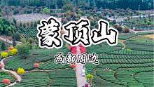 一睹仙茶故乡#旅行推荐官 #旅行大玩家 #私藏度假地 