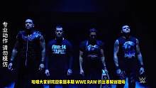 WWE：男子三人组队赛，选手阵容强悍，实力非凡，战况激烈无比 #wwe #体育 #美国 #解说