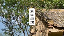 夏日笔记