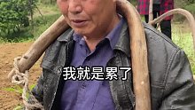 莫事差点找个打挨看一遍笑一遍