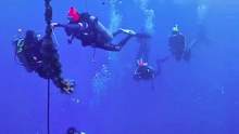 #开发区 #潜水 #水下摄影 #探险 #保持热爱奔赴山海