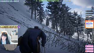 荒野大鏢客2故事模式，含淚獲得雪山馬