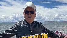 带着鳄鱼来到纳木错湖了，后面这个牛好看吗？#西藏自驾游 #纳木错