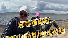 穿鳄鱼皮鞋，爬雪山/踏草地、走戈壁都无所畏惧！！#西藏自驾游 #鳄珍