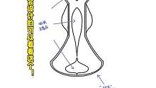 有没有人能懂我们女性对卫生巾的需求？商家在哪？设计师在哪？