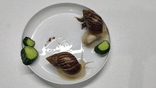 蜗牛推黄瓜